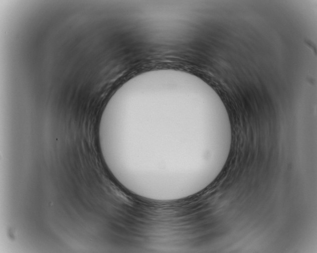 X0000099440566200805090750