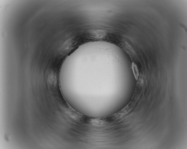 X0000099440568200805090750