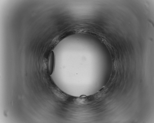 X0000099440570200805090750