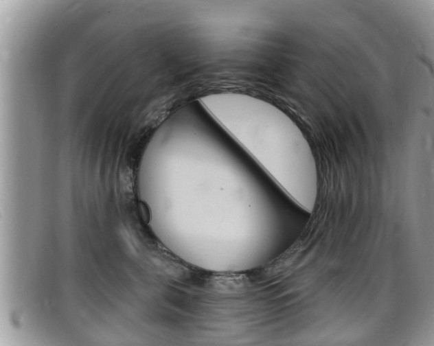 X0000099440571200805090750