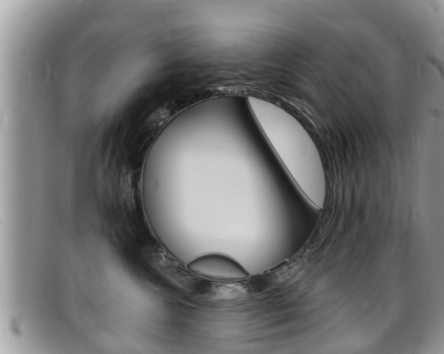 X0000099440572200805090750