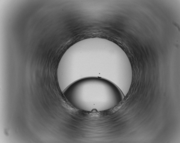 X0000099440574200805090750