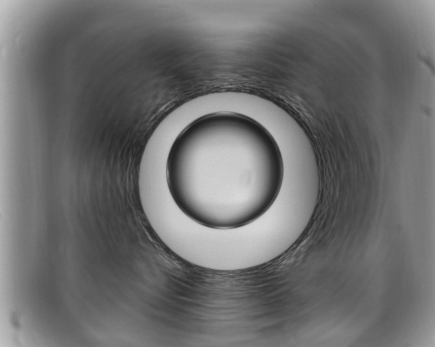X0000099440576200805090750
