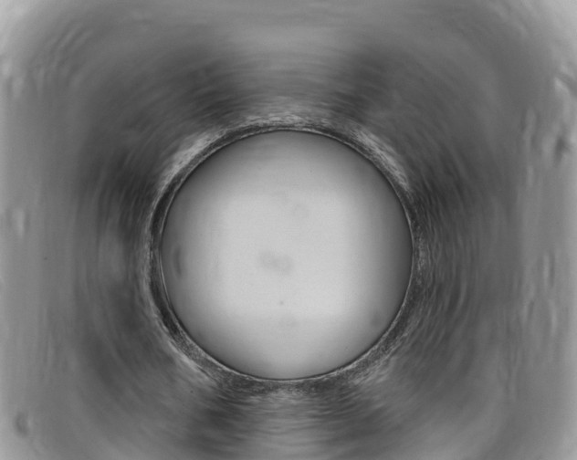 X0000099440578200805090750
