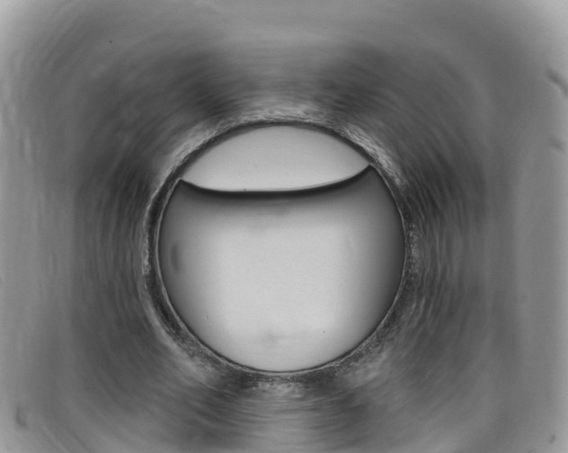 X0000099440582200805090750