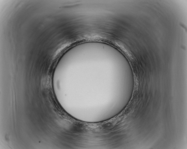 X0000099440583200805090750