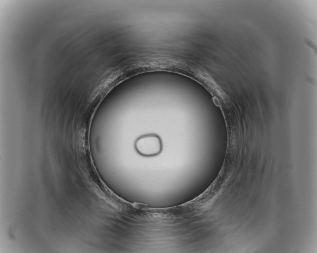 X0000099440585200805090749