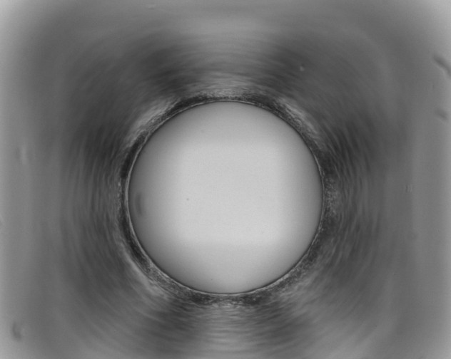 X0000099440586200805090749