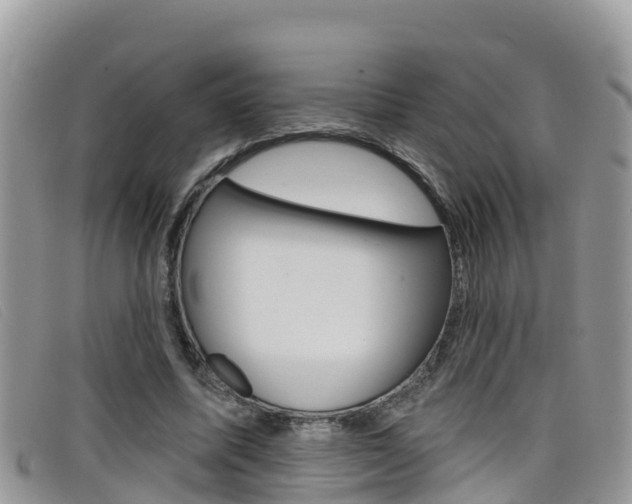 X0000099440587200805090749
