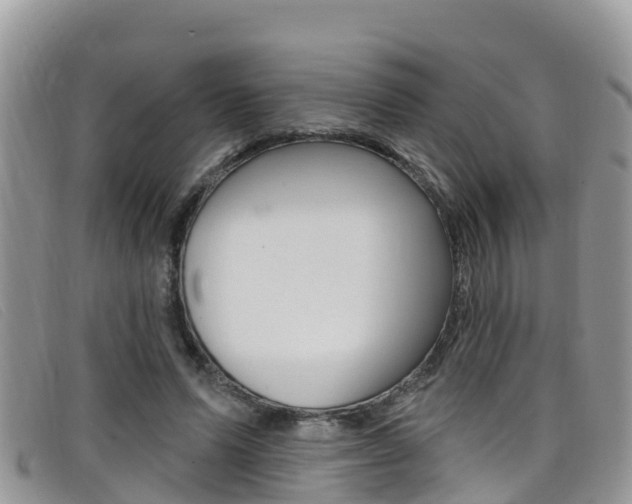 X0000099440591200805090749