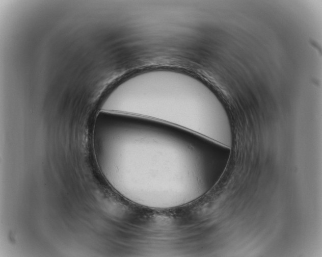 X0000099440592200805090749