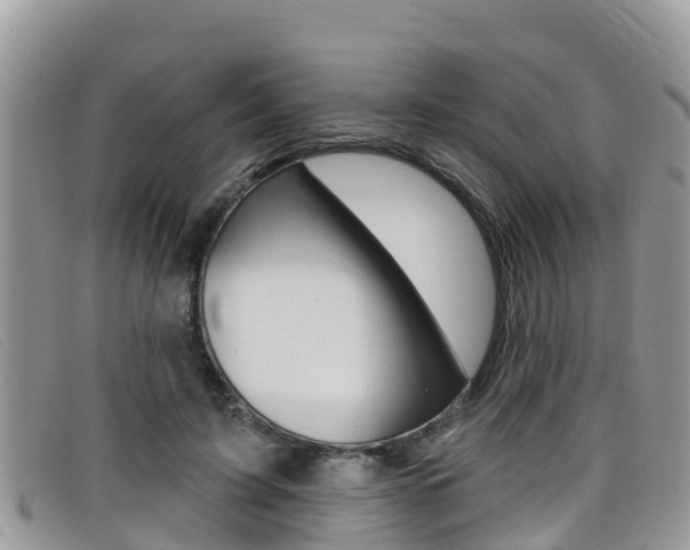 X0000099440595200805090749