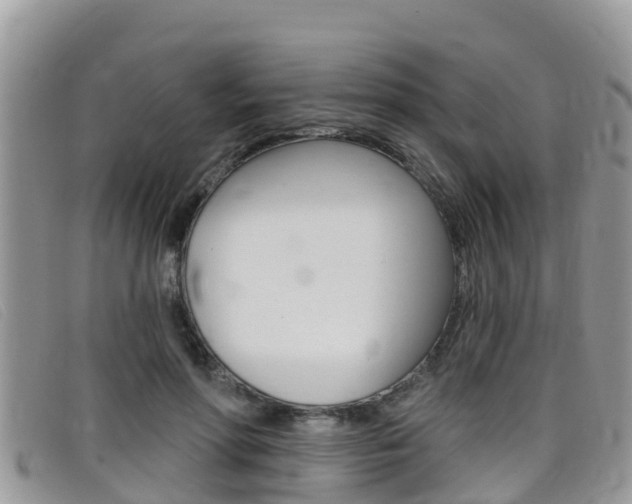 X0000099440598200805090749
