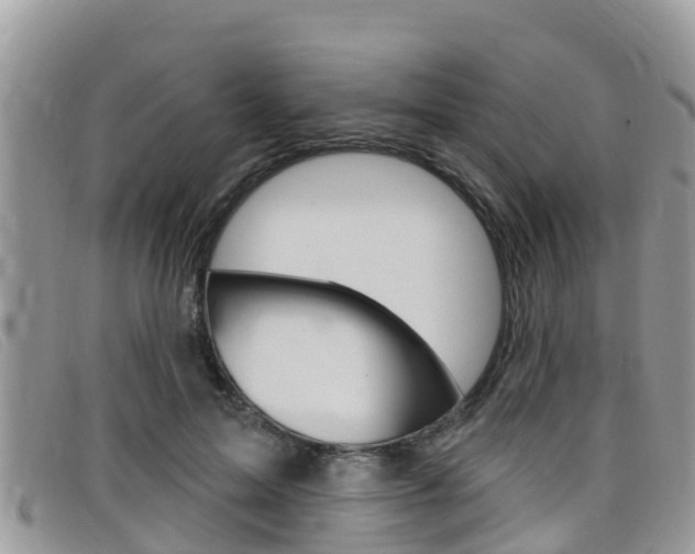 X0000099440599200805090749
