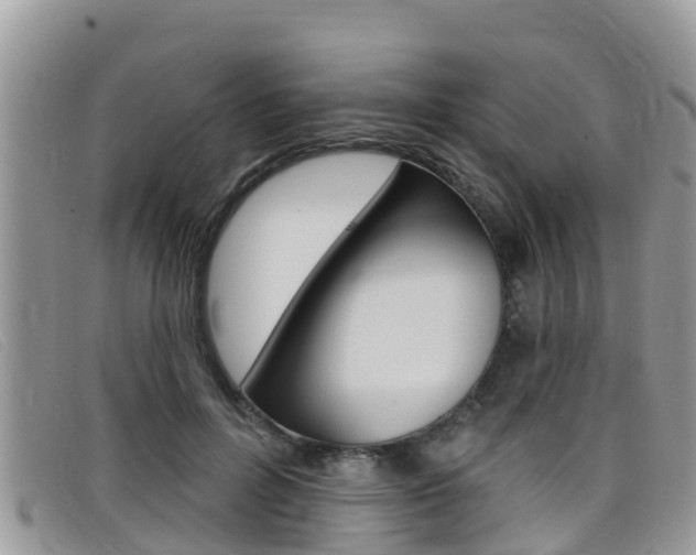 X0000099440600200805090749