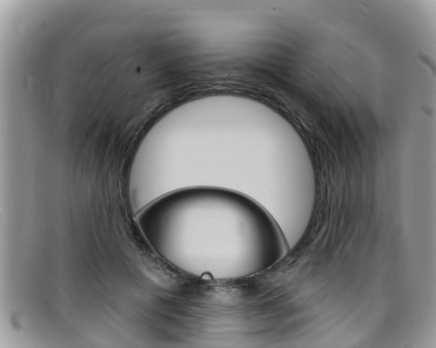 X0000099440601200805090749
