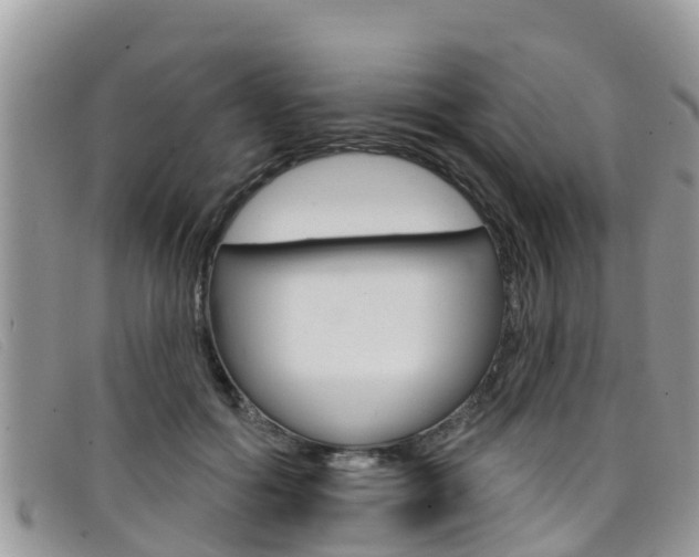 X0000099440602200805090749