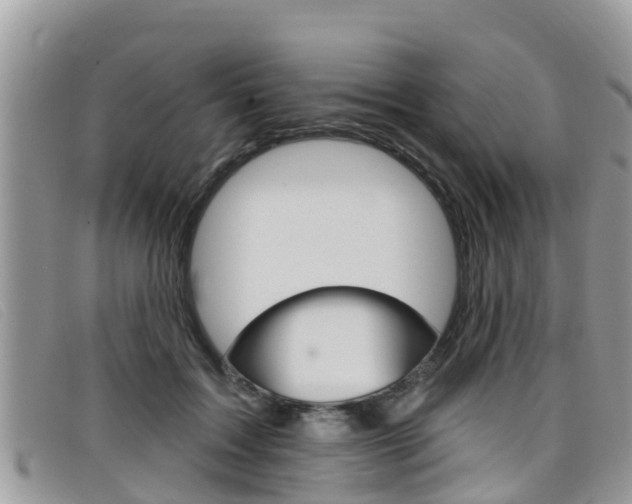 X0000099440603200805090749