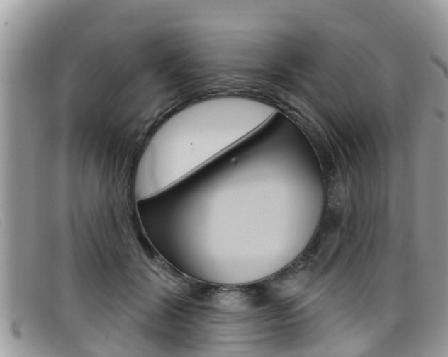 X0000099440604200805090749