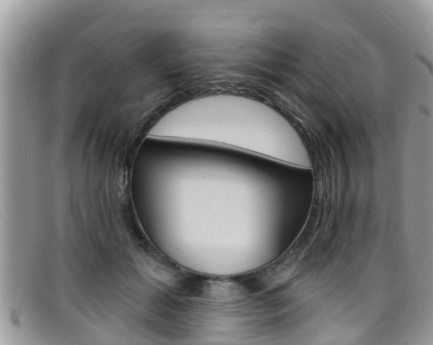 X0000099440605200805090749