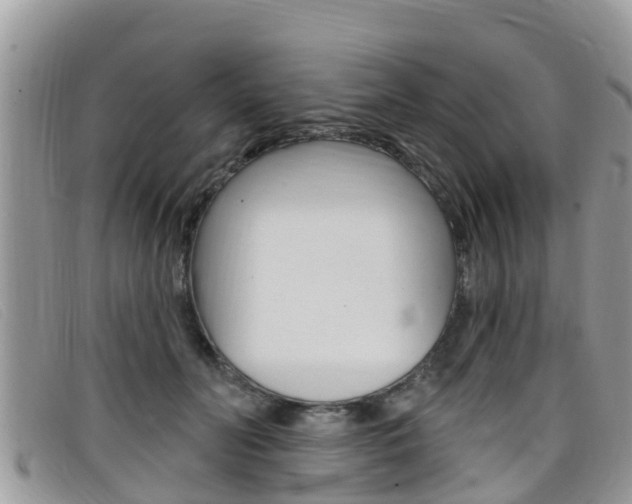 X0000099440606200805090749