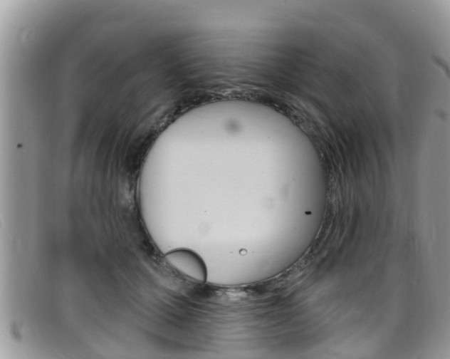 X0000099440607200805090749