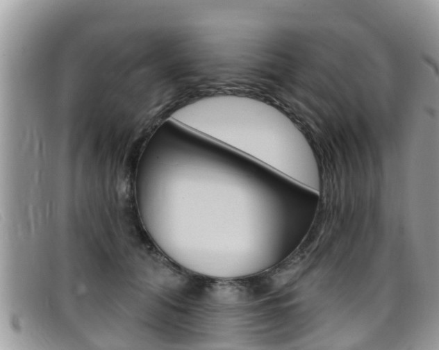 X0000099440608200805090749