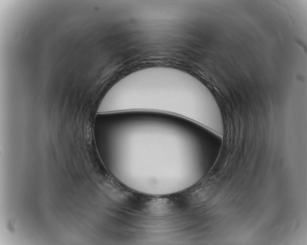 X0000099440609200805090749