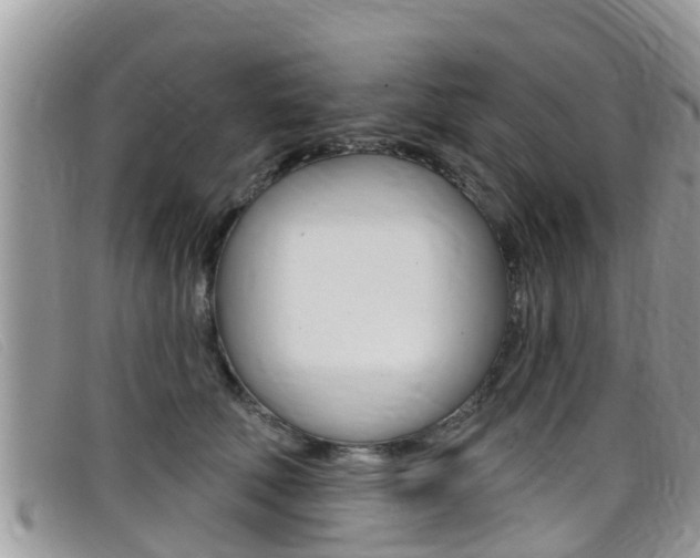 X0000099440610200805090749