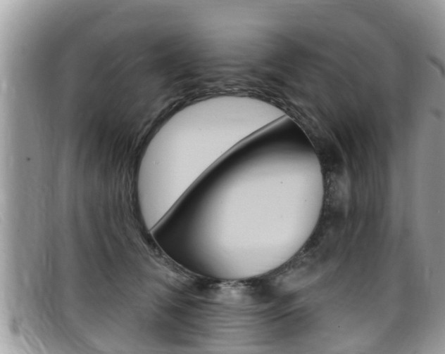 X0000099440612200805090749