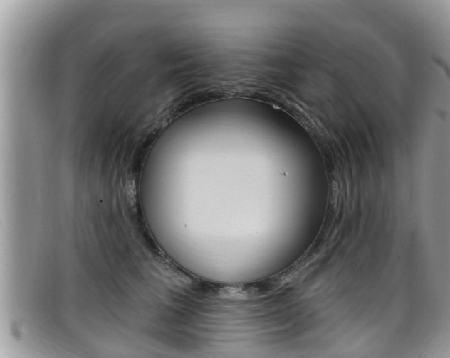 X0000099440613200805090749