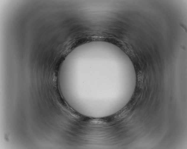 X0000099440614200805090749