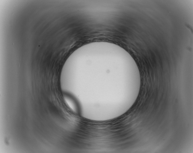 X0000099440615200805090749