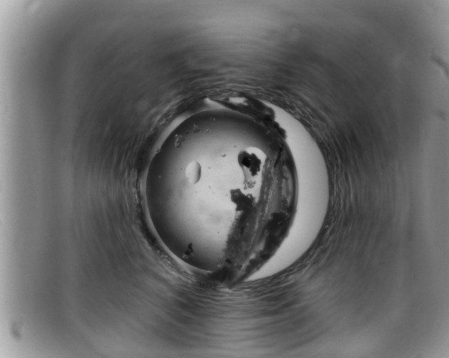 X0000099440616200805090749