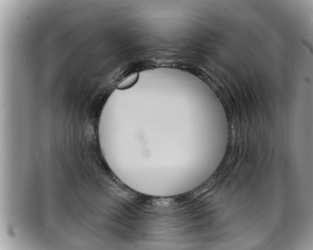 X0000099440618200805090749