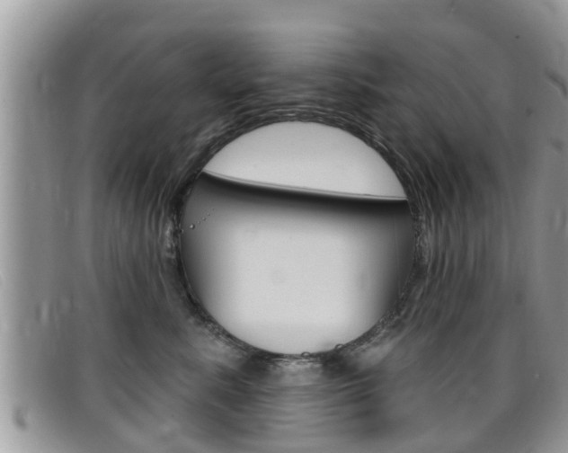 X0000099440619200805090749