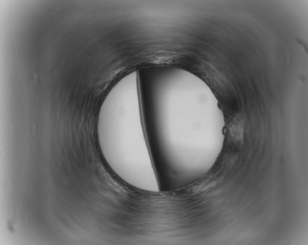 X0000099440620200805090749