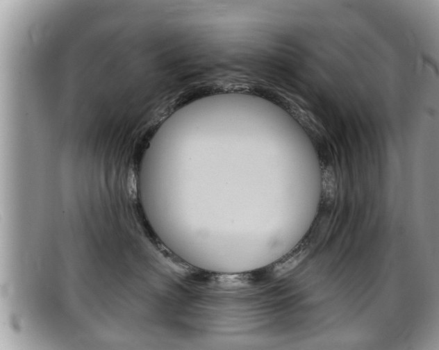 X0000099440622200805090749