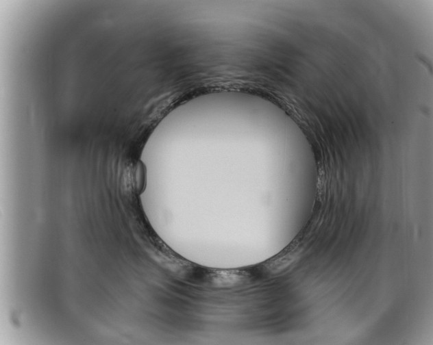 X0000099440623200805090749