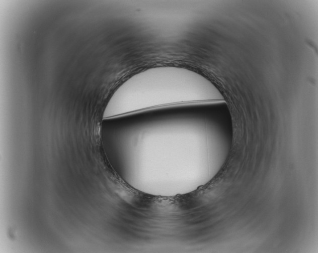 X0000099440624200805090749