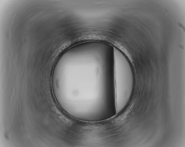 X0000099440625200805090748