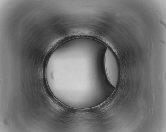 X0000099440629200805090748