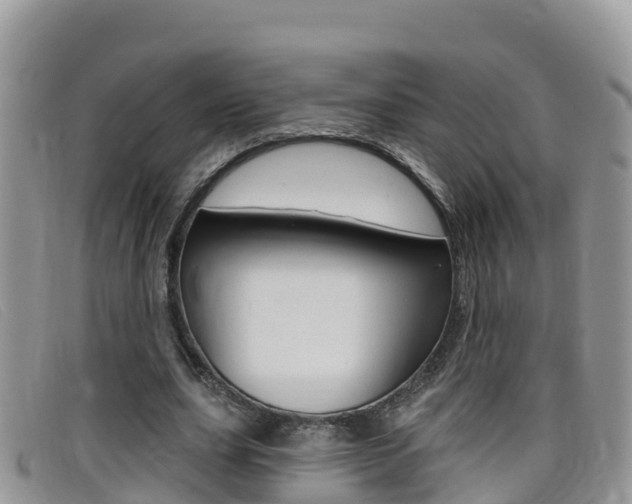 X0000099440631200805090748