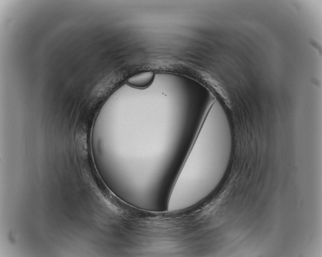 X0000099440633200805090748