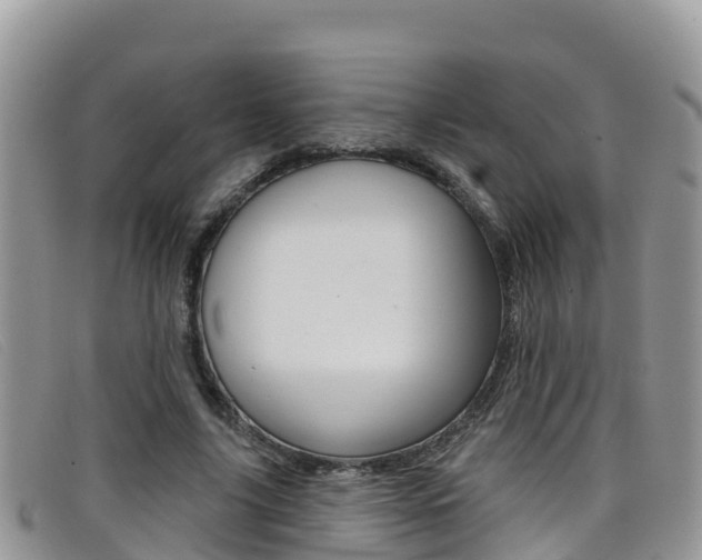 X0000099440635200805090748