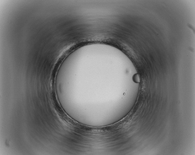 X0000099440636200805090748