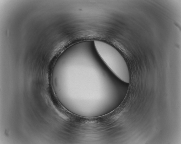 X0000099440638200805090748