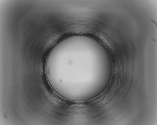 X0000099440639200805090748