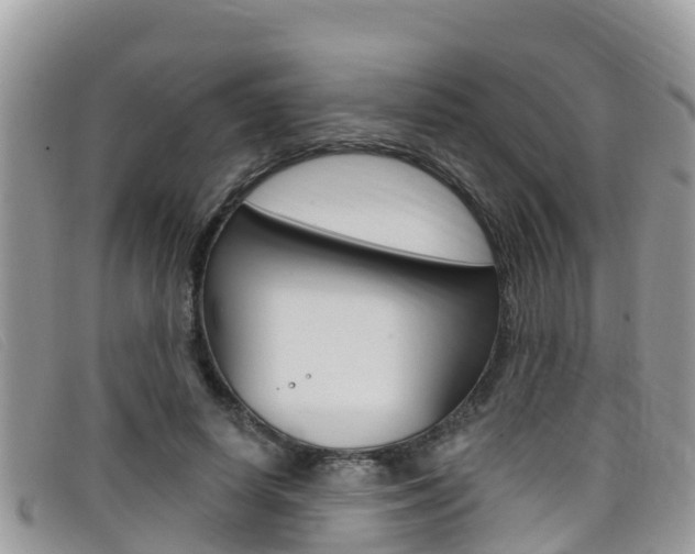 X0000099440642200805090749