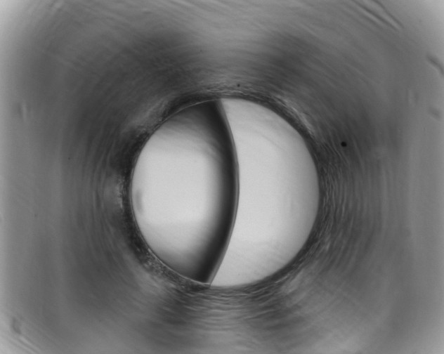 X0000099440643200805090749